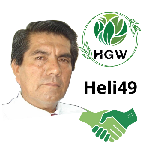Perfil oficial del grupo HGW Heli49